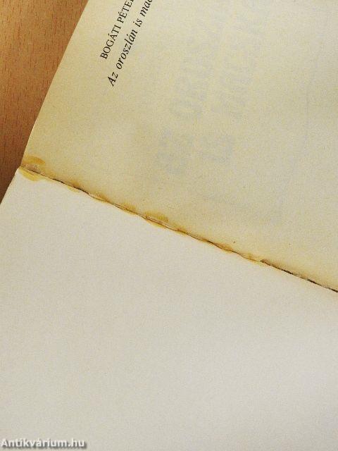 Az oroszlán is macska