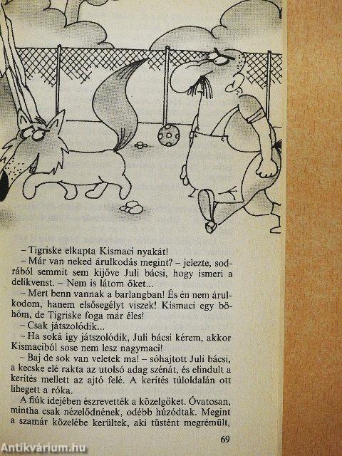 Az oroszlán is macska