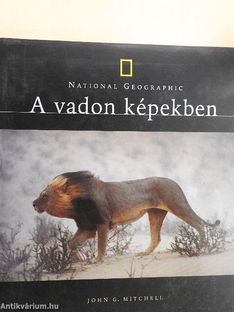 A vadon képekben