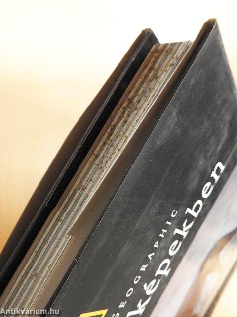 A vadon képekben