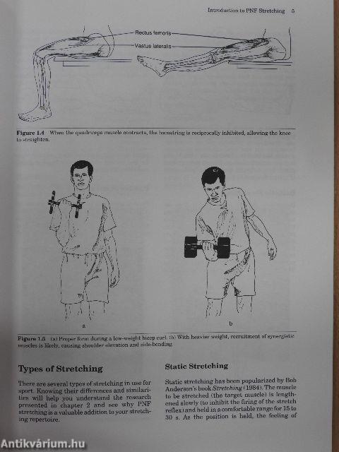 Facilitated Stretching