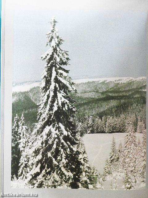 Erdély, tél a havason