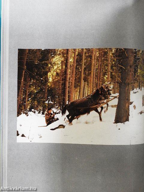 Erdély, tél a havason