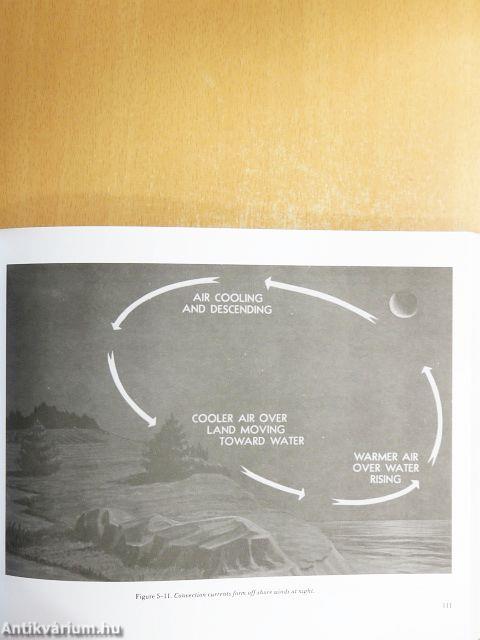 How to Become a Pilot