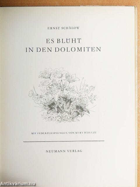 Es blüht in den Dolomiten