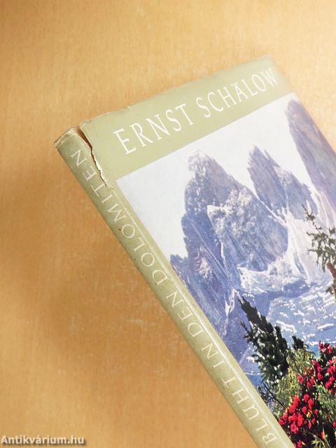 Es blüht in den Dolomiten