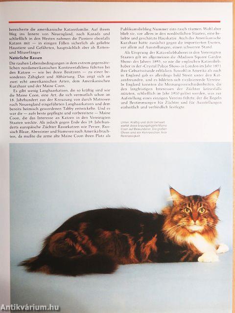 Das Grosse Katzenbuch
