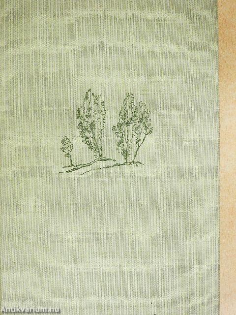 Heideschulmeister Uwe Karsten (gótbetűs)