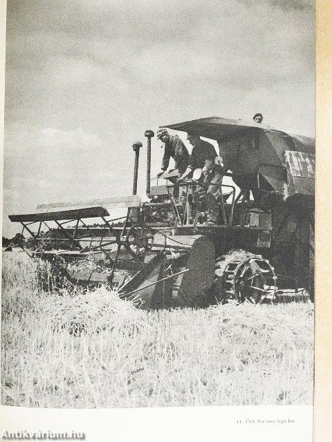 Menschen bei der Arbeit