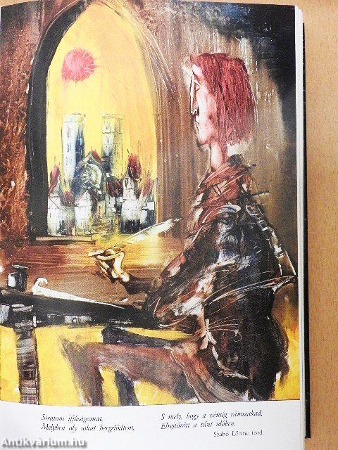 A boldogtalan Villon boldog napjai