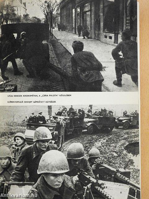 A felszabadulás krónikája