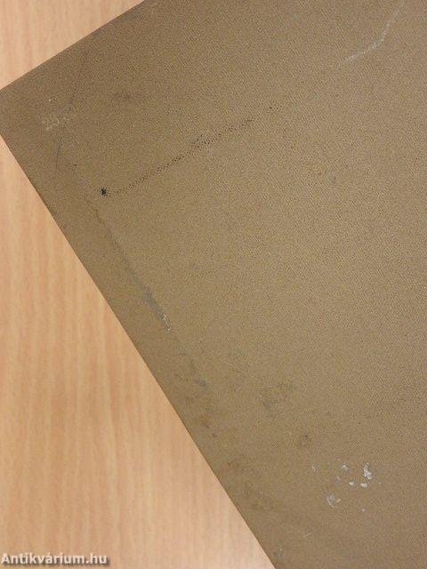 Budapest vőlegénye