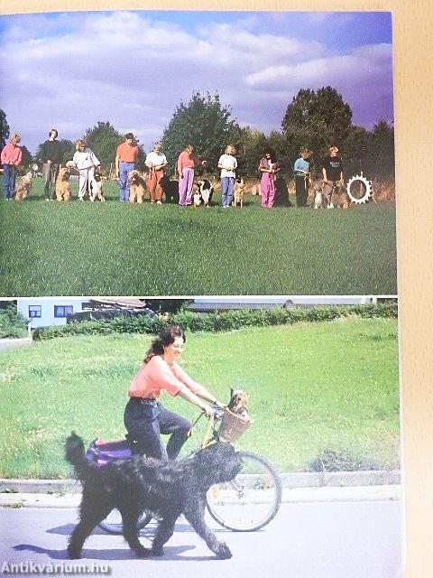 Szabadidő a kutyával