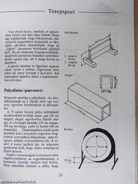 Szabadidő a kutyával