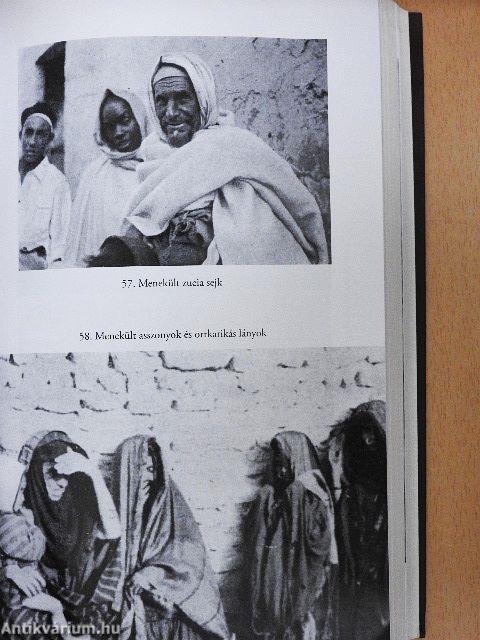 Az ismeretlen Szahara