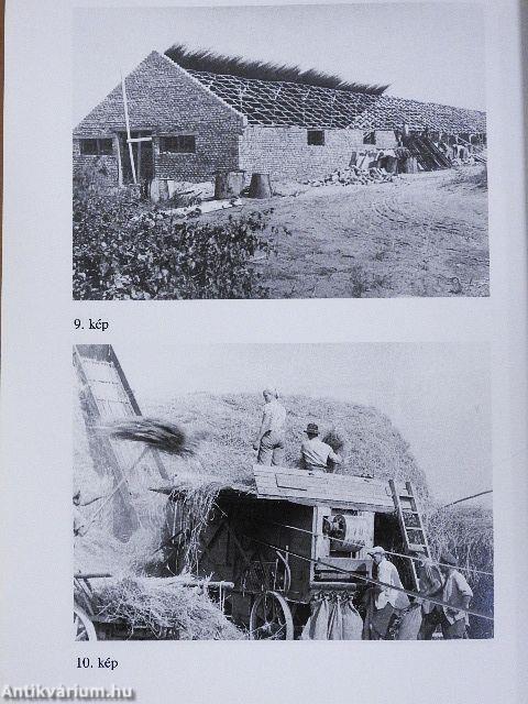 Fertőhomok 1274-2001