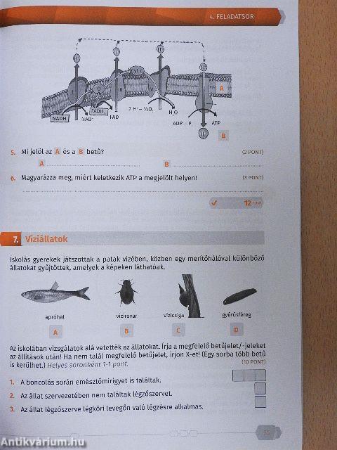 Érettségi mintafeladatsorok biológiából 