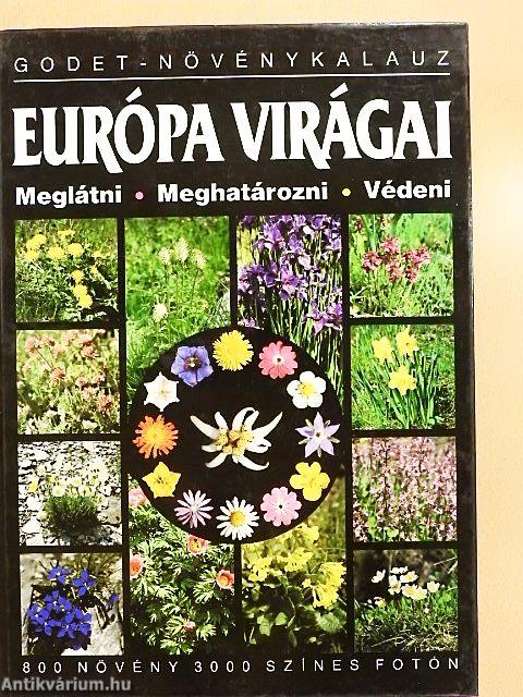Európa virágai
