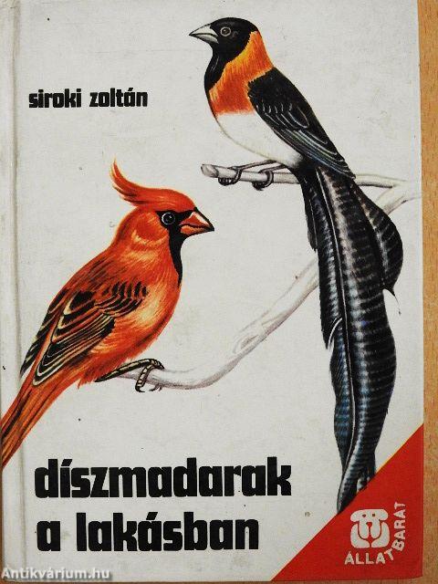 Díszmadarak a lakásban