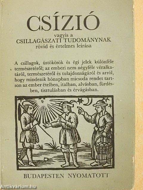 Csízió