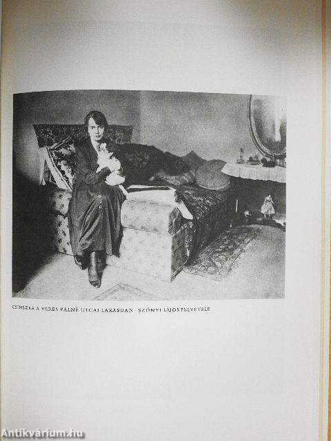 Az elhagyott kalóz-hajók