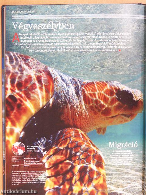 Természettudományi enciklopédia 1-16.