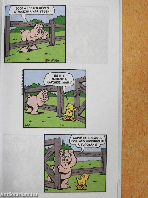 Orson 2. - Kukoricás jó reggelt!