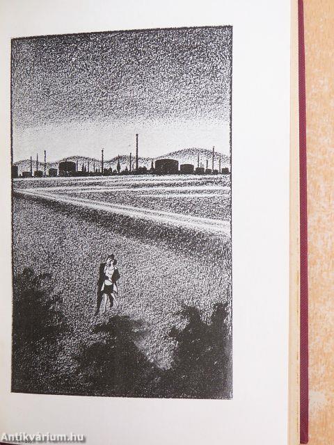 Erdélyi Írók Művei 1-10.