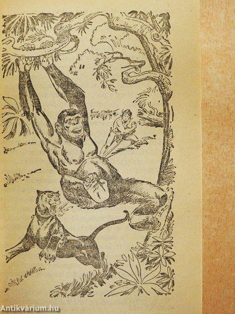 Tarzan dzsungeltörténetei