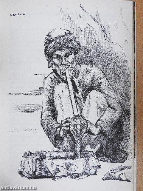Kígyók