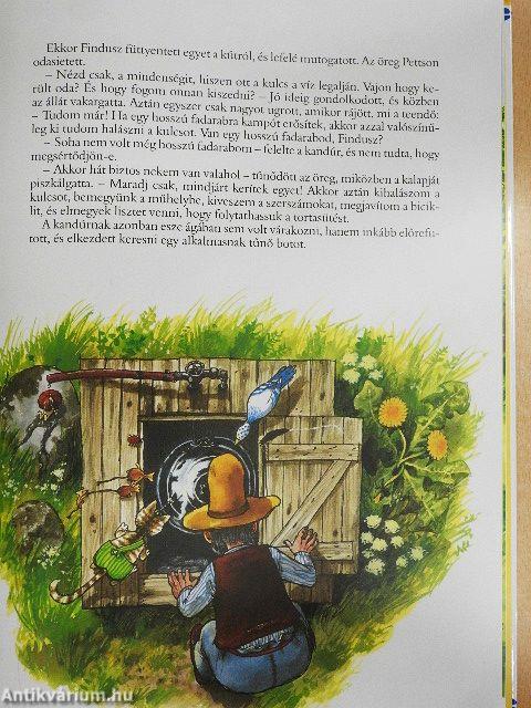 A kandúr szülinapi tortája