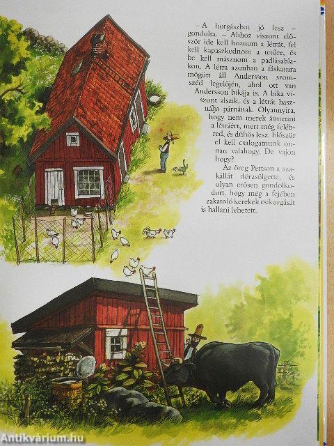 A kandúr szülinapi tortája