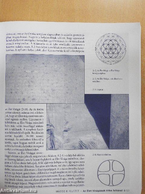 Az Élet Virágának ősi titka I-II.