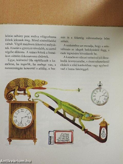 Sárkányok unokái