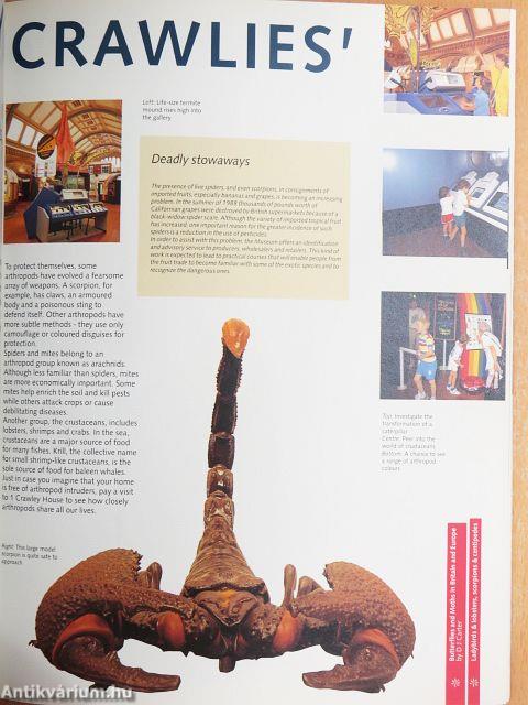 The Natural History Museum