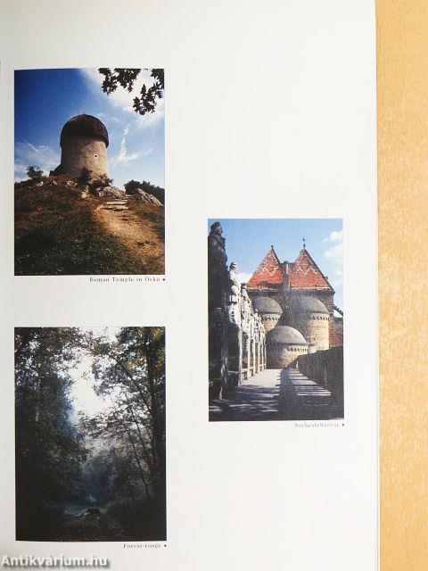 Hungarian Film Guide 2001