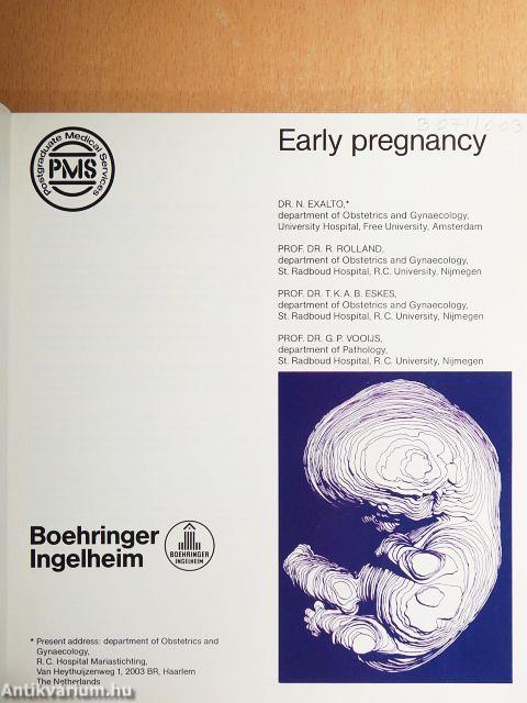Early pregnancy