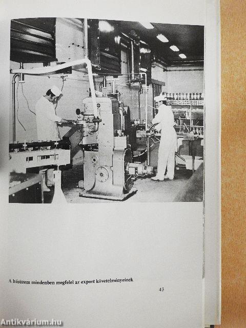 Kapuvári képeskönyv