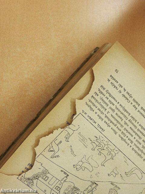 Kerek egy esztendő 1956.