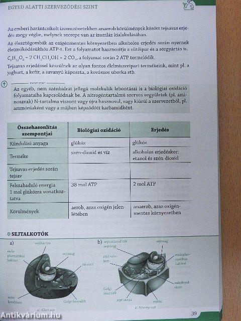 Érettségi témakörök vázlata biológiából - Közép- és emelt szinten