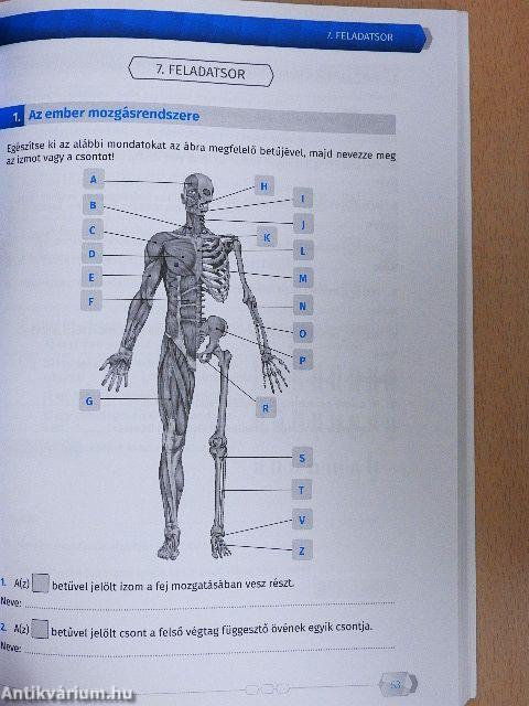 Érettségi mintafeladatsorok biológiából