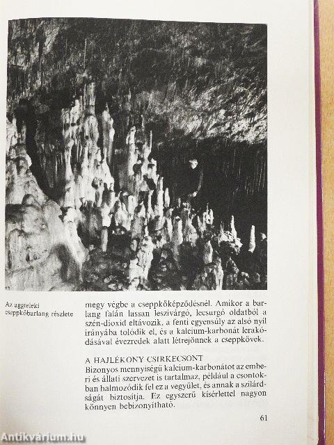 Kémiai kísérletek