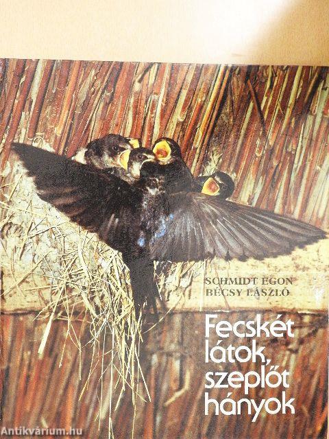 Fecskét látok, szeplőt hányok