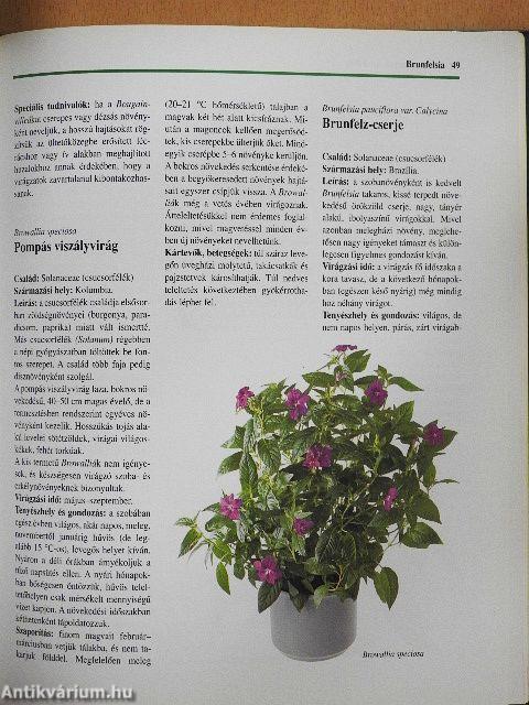 Szobanövény-kalauz