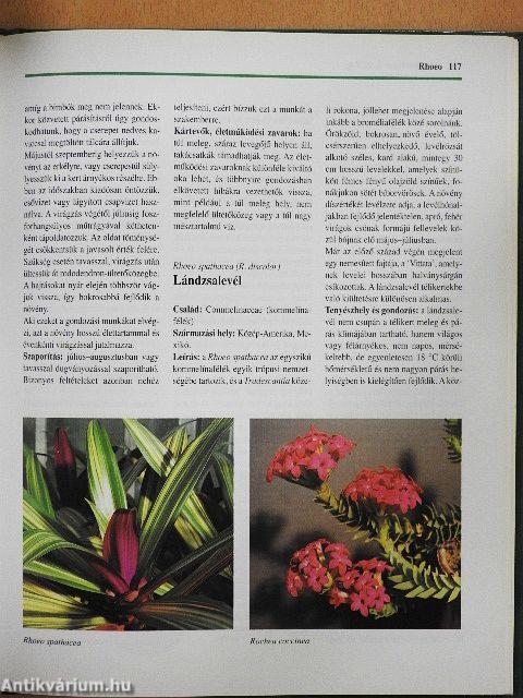 Szobanövény-kalauz