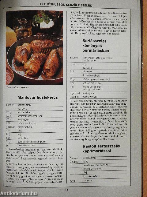 99 húsétel 33 színes ételfotóval