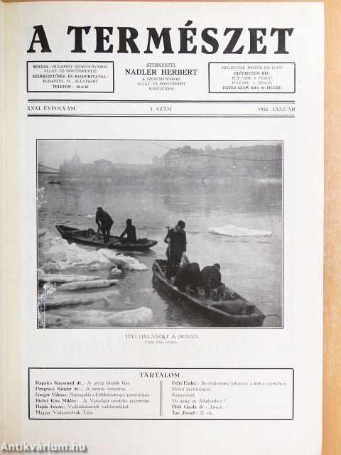 A Természet 1935. január-december