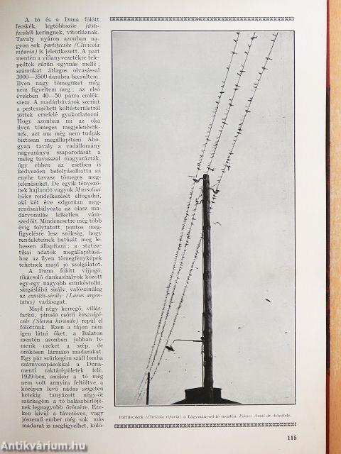 A Természet 1935. január-december