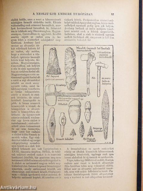 A világtörténet alapvonalai