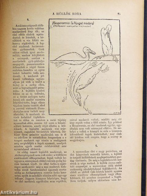 A világtörténet alapvonalai